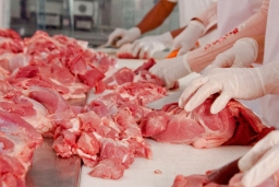 Подготовка основного и жирового сырья к производству мясопродуктов